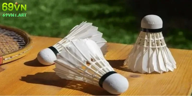 Các loại kèo cá cược cầu lông phổ biến