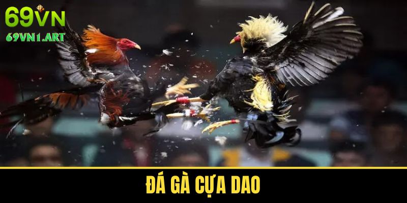 Đá Gà Cựa Dao - Giới Thiệu Chi Tiết Và Bí Quyết Cược Hay