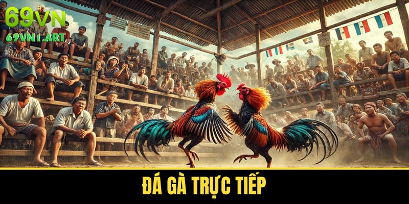 Đá Gà Trực Tiếp - Loại Hình Giải Trí Dẫn Đầu Xu Hướng 2025